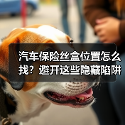 汽车保险丝盒位置怎么找？避开这些隐藏陷阱