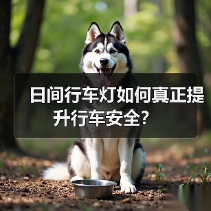 日间行车灯如何真正提升行车安全?(图2) 日间行车灯如何真正提升行车安全?(图2)