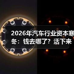 2026年汽车行业资本寒冬：钱去哪了？活下来的公司做对了什么(图3)
