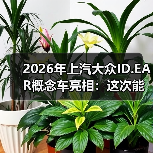 2026年上汽大众ID.EAR概念车亮相