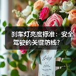 刹车灯亮度标准：安全驾驶的关键防线？(图4)