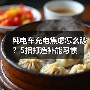 纯电车充电焦虑怎么破?5招打造补能习惯(图4) 纯电车充电焦虑怎么破?5招打造补能习惯(图4)