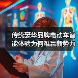 传统豪华品牌电动车智能体验为何难赢新势力?(图2) 传统豪华品牌电动车智能体验为何难赢新势力?(图2)