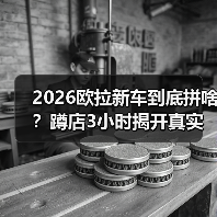 2026欧拉新车到底拼啥？蹲店3小时揭开真实关注点(图3)