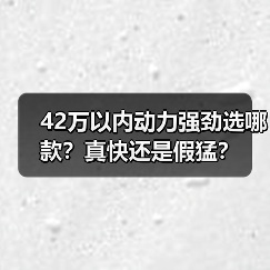 42万以内动力强劲选哪款？真快还是假猛？