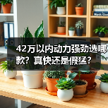 42万以内动力强劲选哪款？真快还是假猛？(图3)