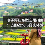 电子怀挡车型实用指南:选购避坑与真实体验(图2) 电子怀挡车型实用指南:选购避坑与真实体验(图2)