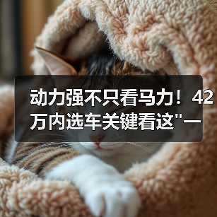 动力强不只看马力！42万内选车关键看这一口气(图2)