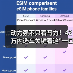 动力强不只看马力！42万内选车关键看这一口气(图3)
