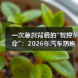 一次急刹背后的