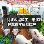 别被数据骗了,硬派越野车真实体验曝光(图2) 别被数据骗了,硬派越野车真实体验曝光(图2)