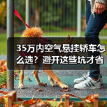 35万内空气悬挂轿车怎么选?避开这些坑才省得值(图4) 35万内空气悬挂轿车怎么选?避开这些坑才省得值(图4)