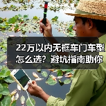 22万以内无框车门车型怎么选？避坑指南助你选对车(图4)