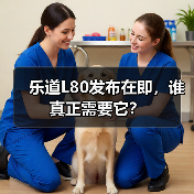 乐道L80发布在即,谁真正需要它?(图4) 乐道L80发布在即,谁真正需要它?(图4)