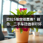 欧拉5限定版真香？别急，二手车贬值率吓坏老司机(图2)