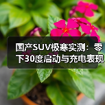 国产SUV极寒实测:零下30度启动与充电表现如何?(图4) 国产SUV极寒实测:零下30度启动与充电表现如何?(图4)