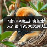 7座SUV第三排真能坐人？银河V900颠