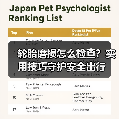 轮胎磨损怎么检查?实用技巧守护安全出行(图4) 轮胎磨损怎么检查?实用技巧守护安全出行(图4)