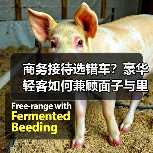 商务接待选错车？豪华轻客如何兼顾面子与里子？(图4)