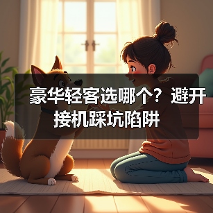 豪华轻客选哪个？避开接机踩坑陷阱(图4)