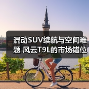 混动SUV续航与空间难题 风云T9L的市场错位选择(图2) 混动SUV续航与空间难题 风云T9L的市场错位选择(图2)
