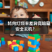 转向灯频率差异竟暗藏安全玄机？(图4)