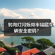 转向灯闪烁频率暗藏车辆安全密码？(图1)
