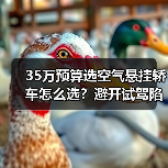 35万预算选空气悬挂轿车怎么选？避开试驾