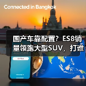 国产车靠配置？ES8销量领跑大型SUV，打谁脸？(图1)