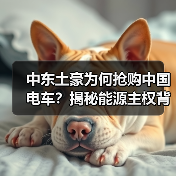 中东土豪为何抢购中国电车？揭秘能源主权背后的硬核合作逻辑(图3)