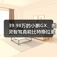 39.98万的小鹏GX，图灵智驾真能比特斯拉更聪明？(图2)
