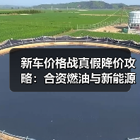 新车价格战真假降价攻略：合资燃油与新能源谁在放血？(图1)