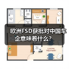 欧洲FSD获批对中国车企意味着什么？