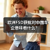 欧洲FSD获批对中国车企意味着什么？(图2)