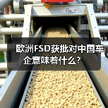 欧洲FSD获批对中国车企意味着什么？(图3)