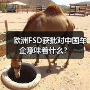 欧洲FSD获批对中国车企意味着什么？(图4)