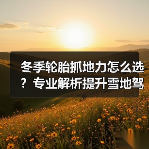 冬季轮胎抓地力怎么选？专业解析提升雪地驾驶安全(图4)
