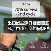 出口数据飙升别盲目跟风，中小厂商如何抓住利润关键？(图4)
