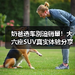 奶爸选车别追销量！大六座SUV真实体验分