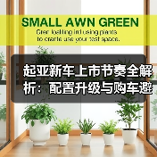 起亚新车上市节奏全解析：配置升级与购车避坑指南(图3)