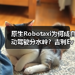 原生Robotaxi为何成自动驾驶分水岭