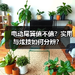 电动尾翼值不值？实用与炫技如何分辨？