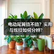 电动尾翼值不值？实用与炫技如何分辨？(图4)