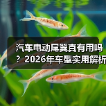 汽车电动尾翼真有用吗？2026年车型实用解析(图2)