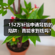 152万补贴申请背后的陷阱：真能拿到钱吗？(图2)