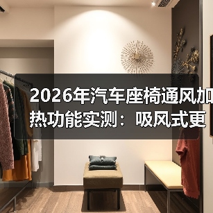 2026年汽车座椅通风加热功能实测：吸风式更有效？(图3)