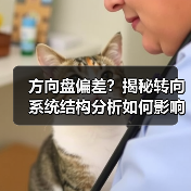 方向盘偏差？揭秘转向系统结构分析如何影响操控(图2)