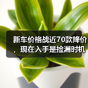 新车价格战近70款降价，现在入手是捡漏时