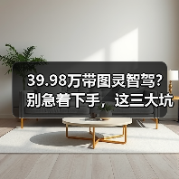 39.98万带图灵智驾？别急着下手，这三大坑千万别踩(图3)