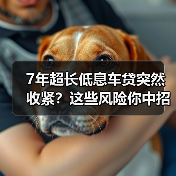 7年超长低息车贷突然收紧？这些风险你中招了吗？(图4)